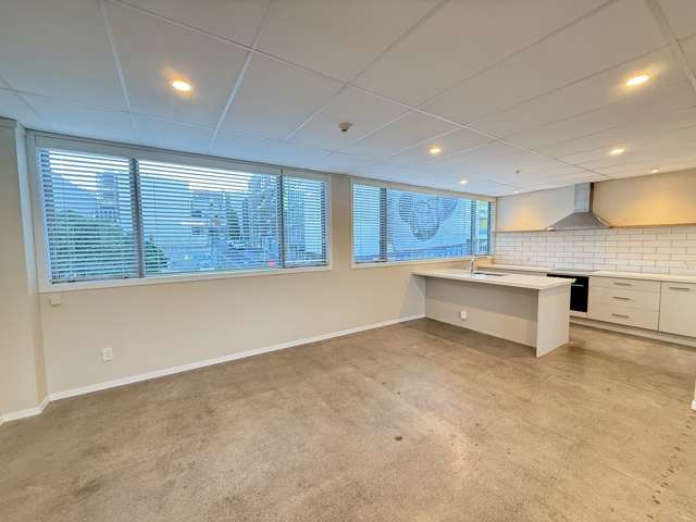 36 Pollen Street Grey Lynn_2