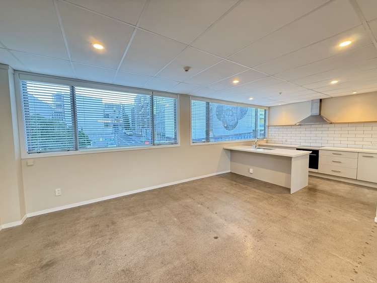 36 Pollen Street Grey Lynn_2