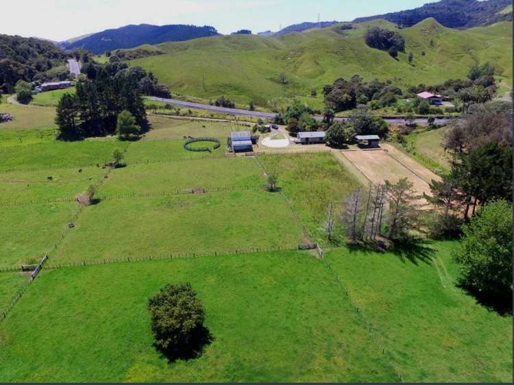 3483 Kaipara Coast Highway Glorit_3