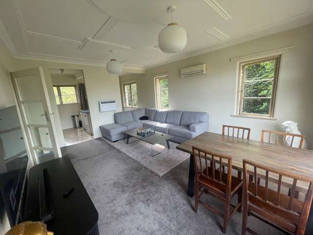 4C Alva Street Dunedin Central_4