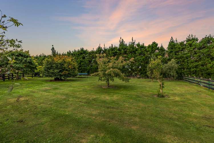 260 Kiri Kiri Road Burnt Hill_31