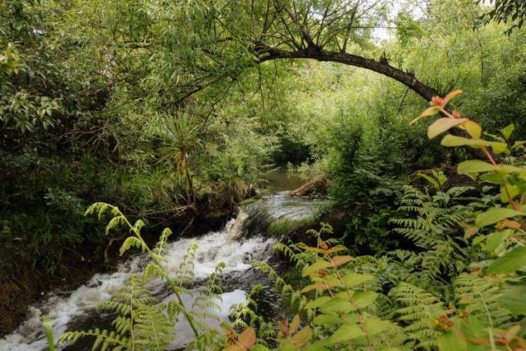 23 Foster Road Kumeu_19