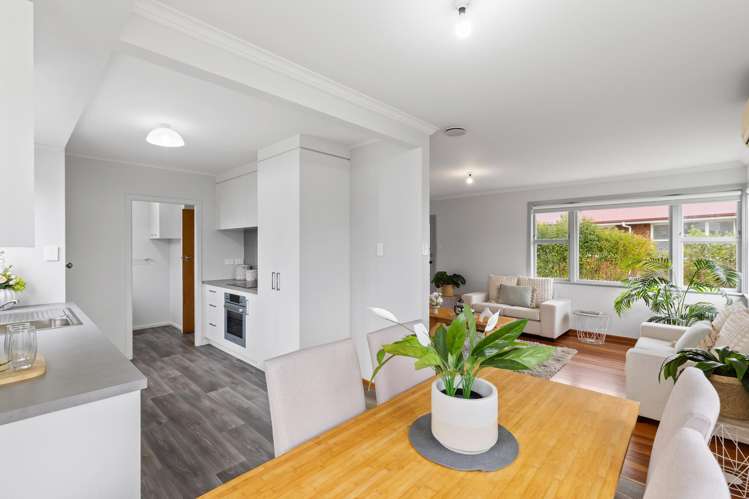 24 Frederick Drive Dinsdale_8