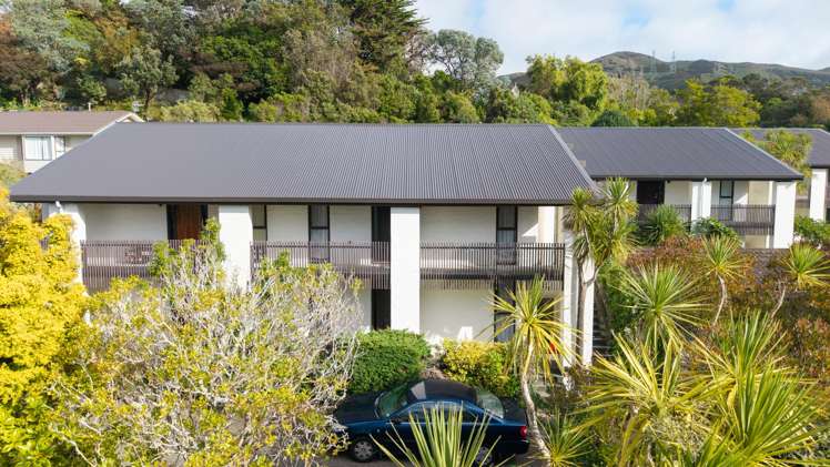 141J Churton Drive Churton Park_10