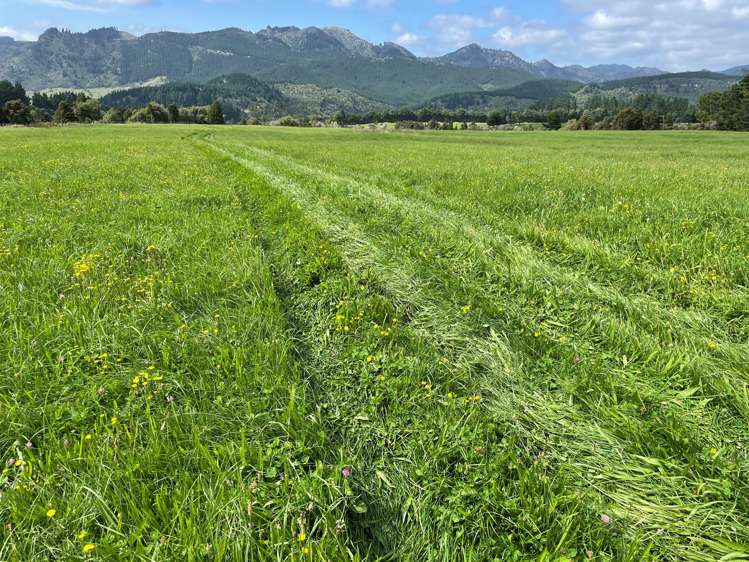 1405 Mangleton Road Central Hawkes Bay Country_13