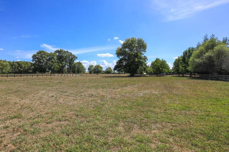 298a Bellevue Road Matangi_23