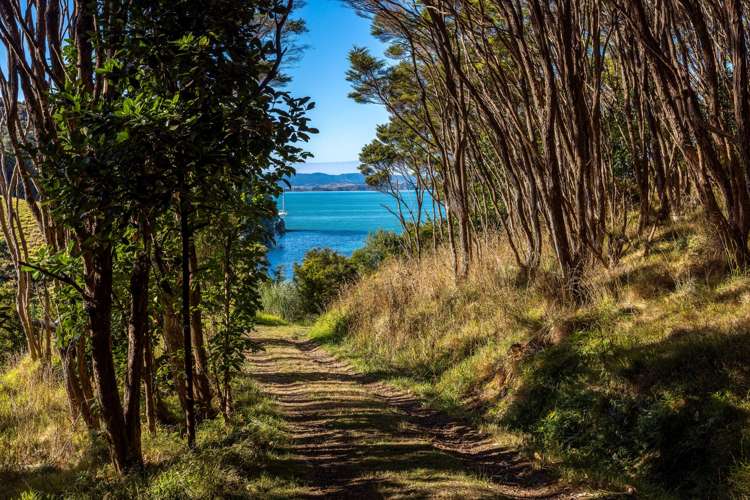 345 Gordons Road Woodside Bay_16