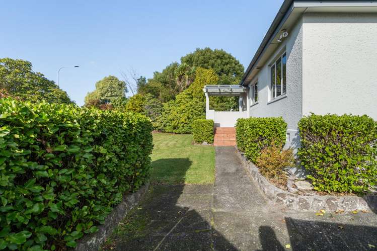 345 Old Taupo Road Springfield_3