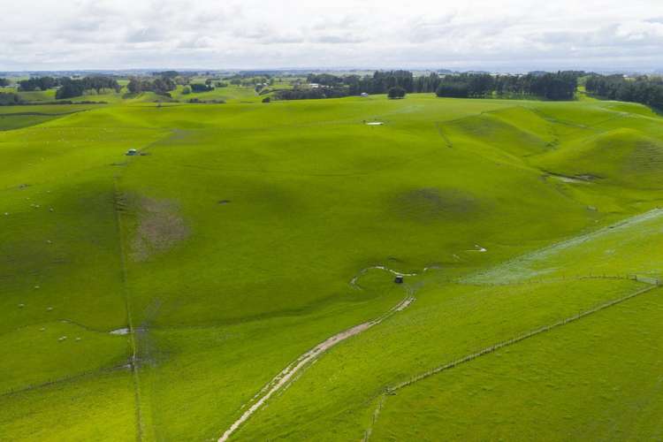 234 Sandon Road Feilding_5