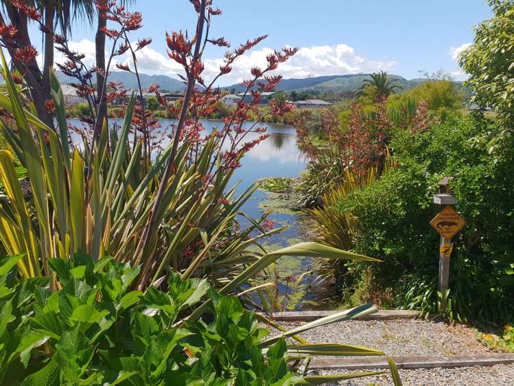 19 Trusham Court Paraparaumu_1