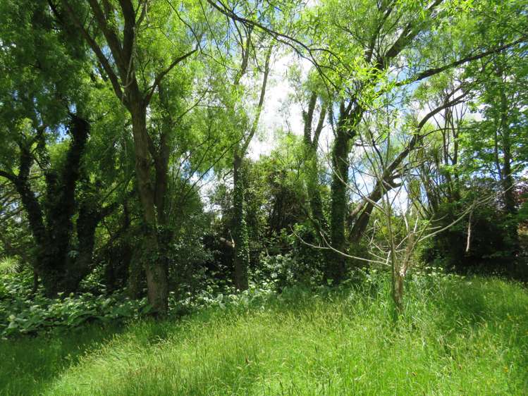 605 Whakapirau Road Whakapirau_7