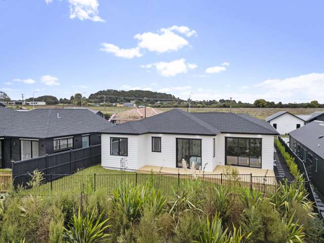 16 Te Ara Hikoi Pukekohe_1