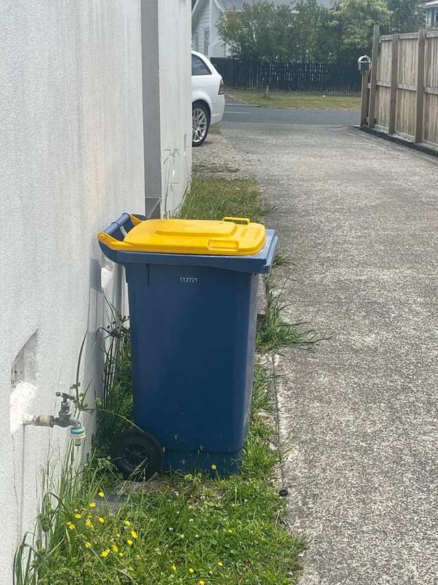 36A Fruitvale Road New Lynn_4