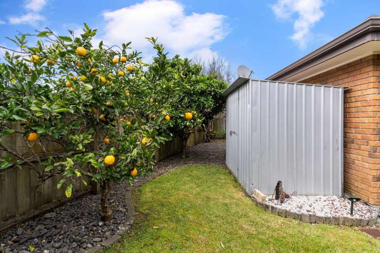 291 Mahia Road Manurewa_18