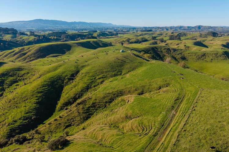 Ridge Road North Pahiatua_6