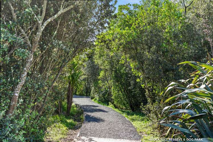 80A Walmer Road Pt Chevalier_12