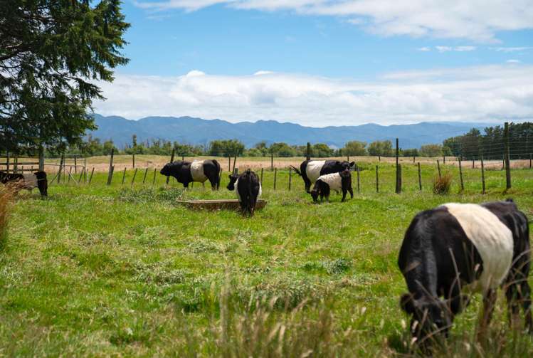 1766 Kahutara Road Kahutara_29