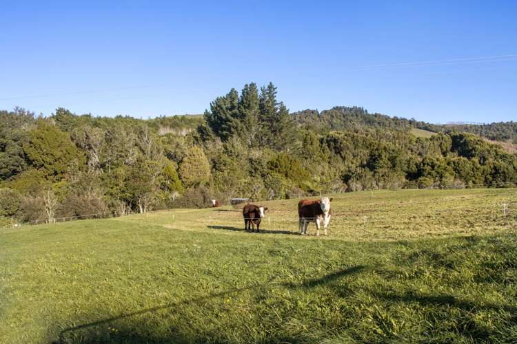 451 Woodlands Road Waihi_32