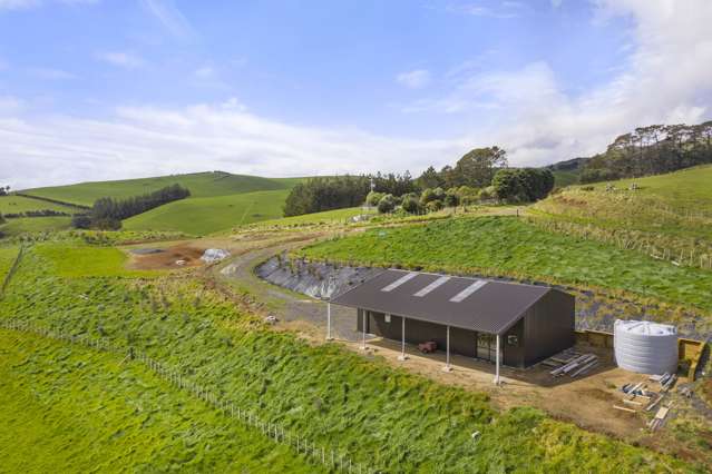 218b Houchen Road Raglan_2