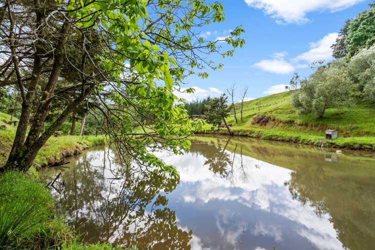 140 Mititai Road Mangapai and Surrounds_21