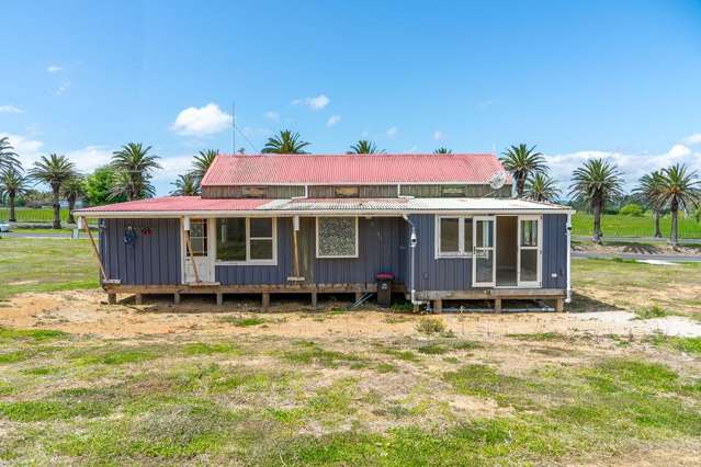 164 Parry Palm Avenue Waihi_3