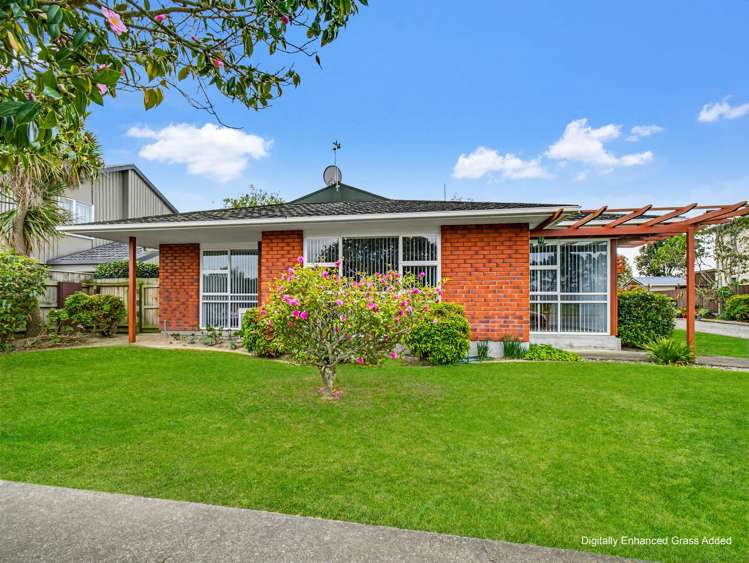 45 Dittmer Drive Awapuni_25