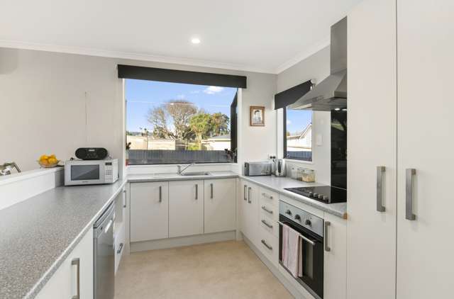 19a Victoria Street Levin_2