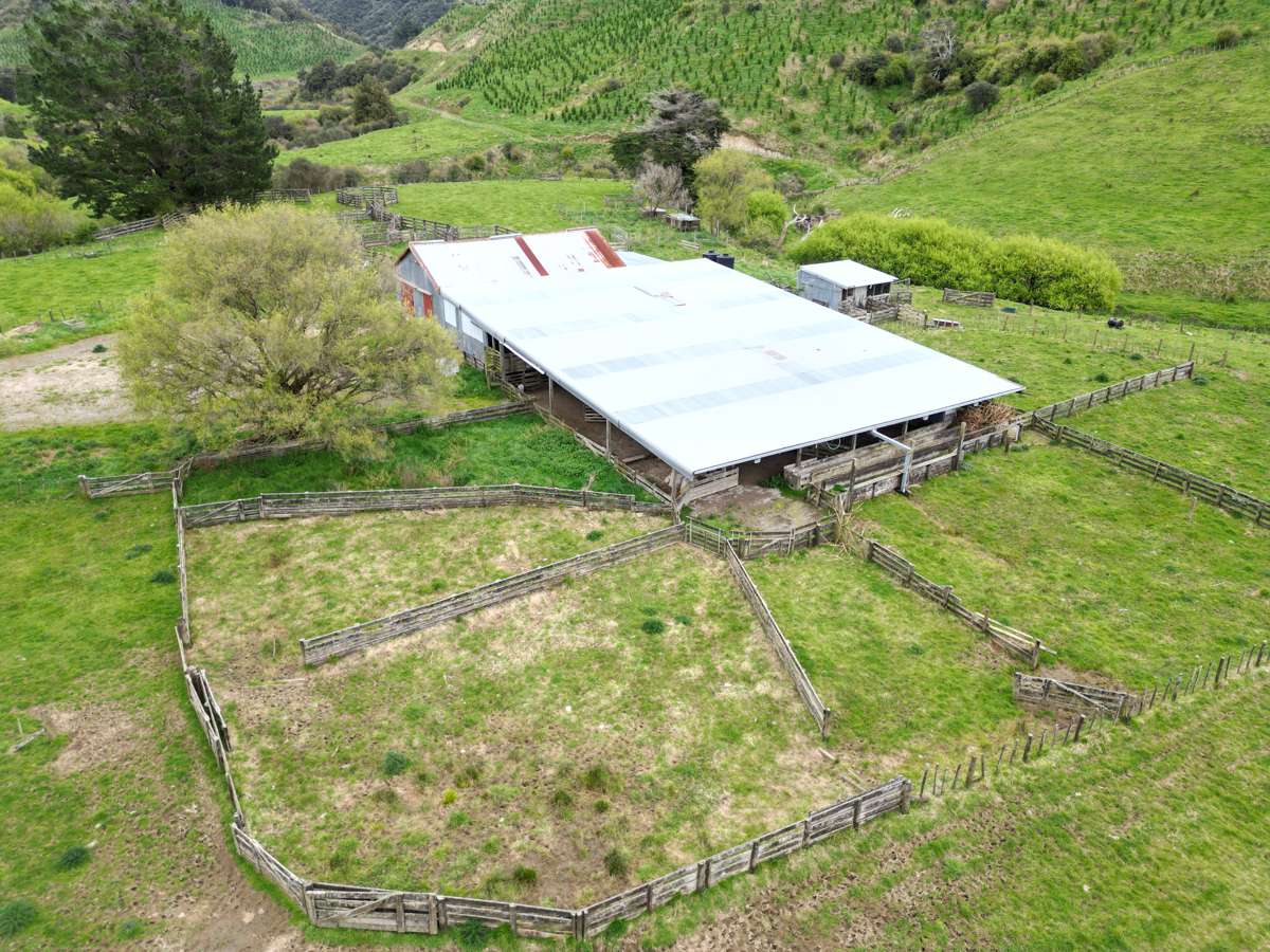 2560 Rawhitiroa Road_3