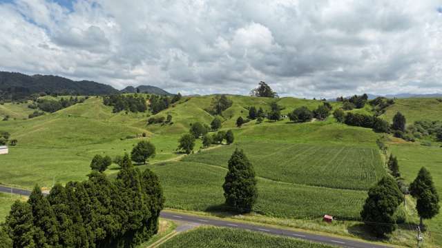 High quality grazing that must sell