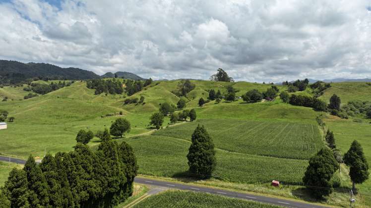 636 Otara Road Opotiki_0