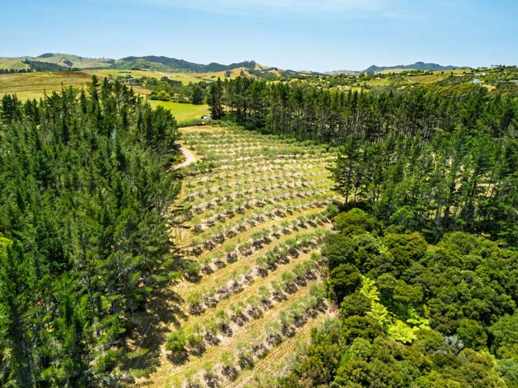 2884A State Highway 10 Mangonui_24