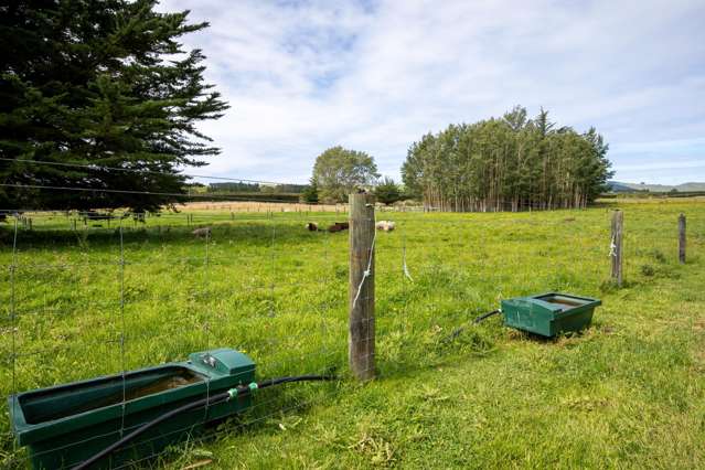 657 Domett Road Domett_4