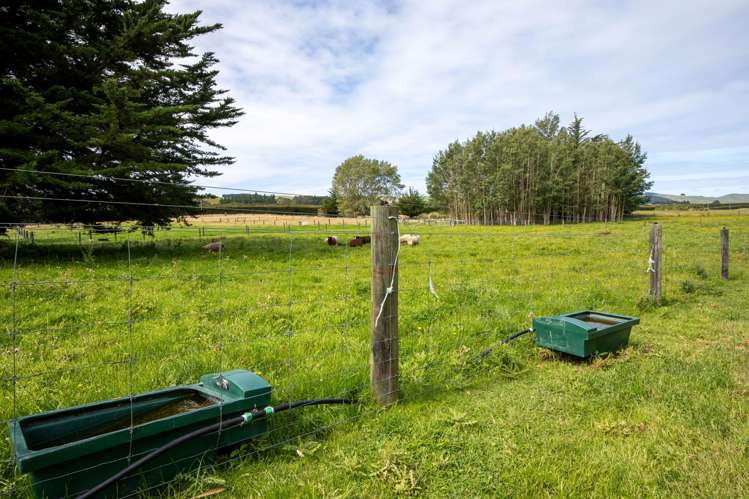 657 Domett Road Domett_4