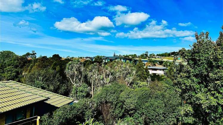 33 Blue Heron Rise Stanmore Bay_5