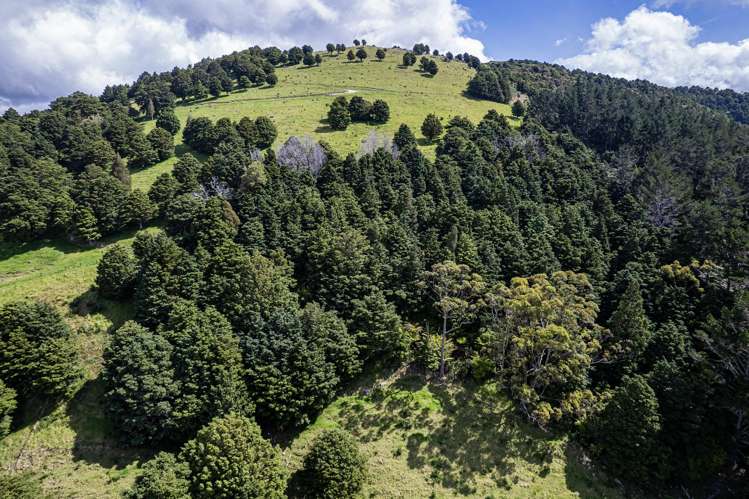 16 Nova Way Kauri_15