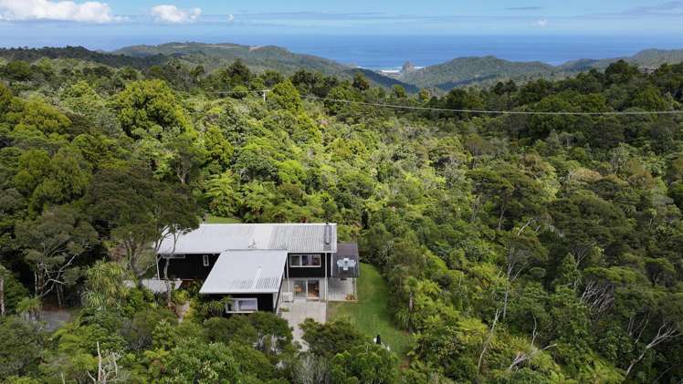 296 Piha Road Piha_92