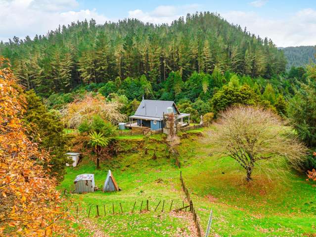 2005 Ongarue Stream Road Waimiha_1