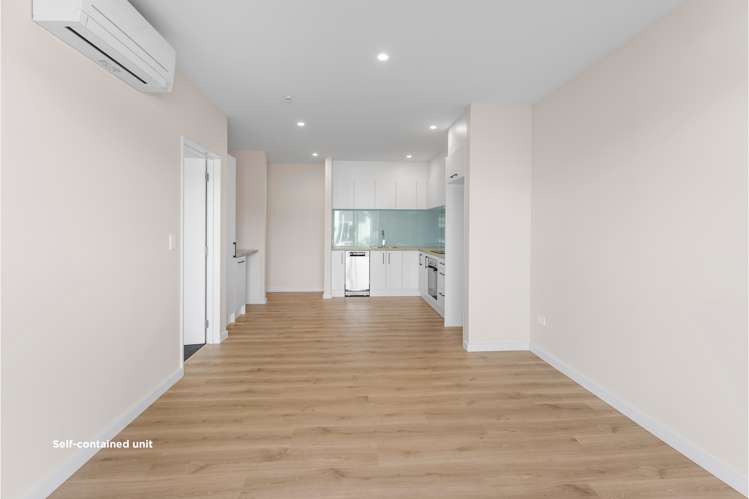 120 Burdon Loop Lake Hawea_16