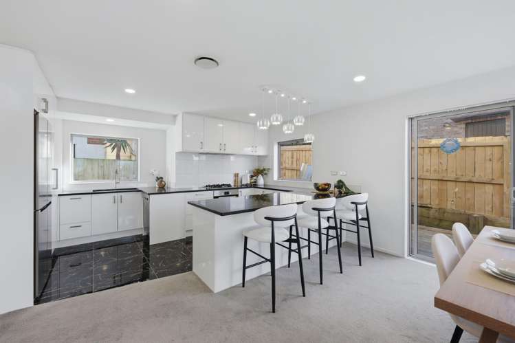 17A Patons Road_2