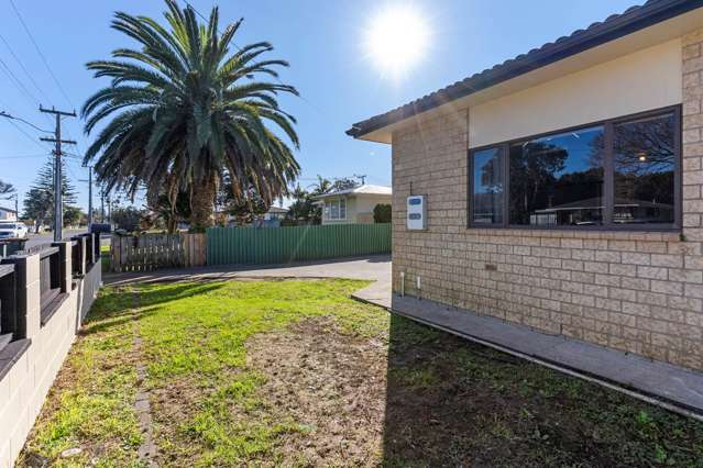 196 Robertson Road Mangere East_4