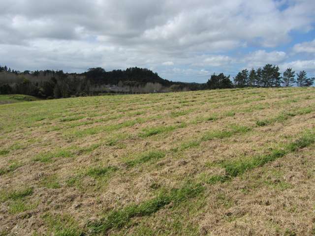 Lot 7/93 Escott Road Dairy Flat_1