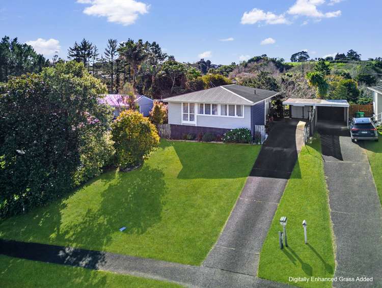 41 Totara Street_0
