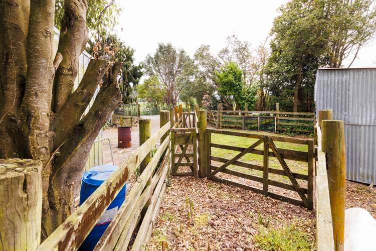 279 Tararua Road Levin_8