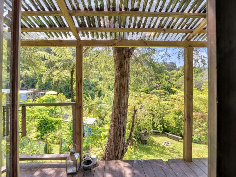 Ohiwa Loop Road Waiotahi_17