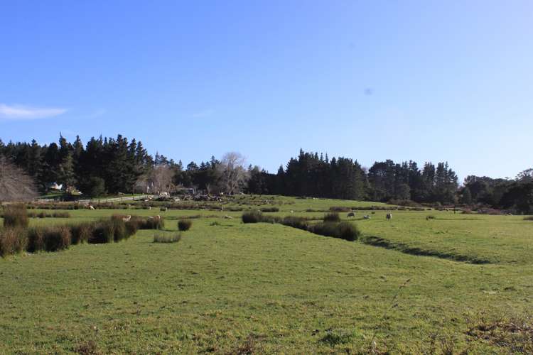 202 Pine Valley Road Dairy Flat_4