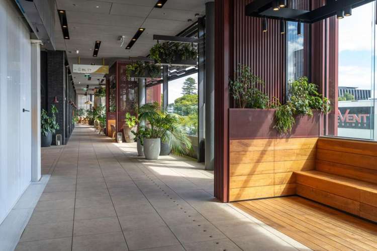 Suite 102/38 Elizabeth Street_0