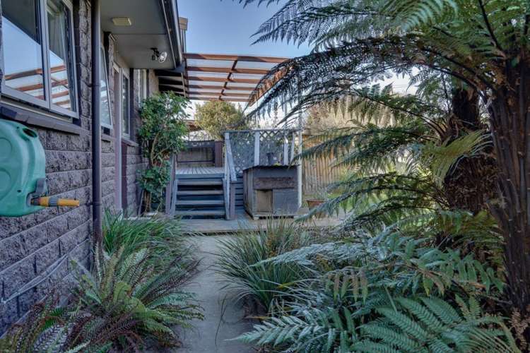 51 Inkerman Street Renwick_17