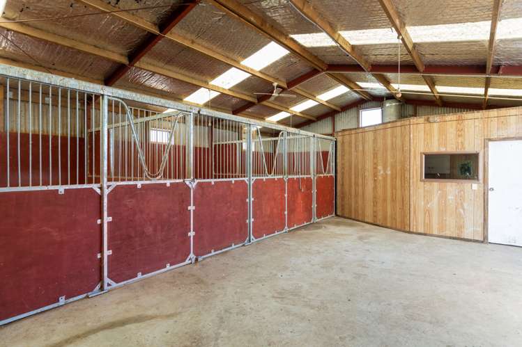 305 Taihoa South Road Matamata_11