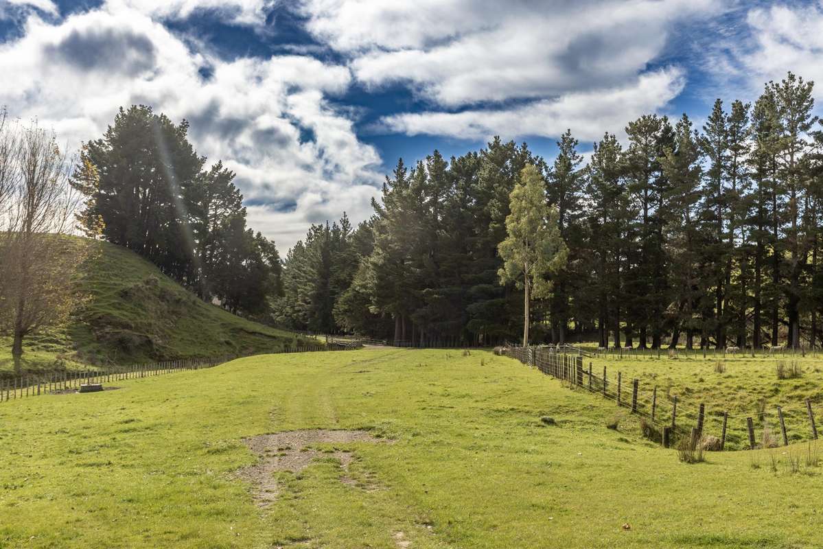 467 Waitahora Valley Road_5
