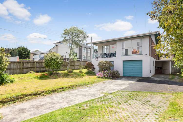 302 Blockhouse Bay Road Avondale_19